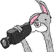 bogs.PNG