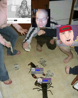Lumii_20240320_071612532.jpg