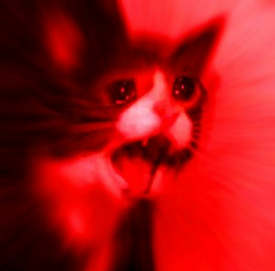 imgs_touch.png