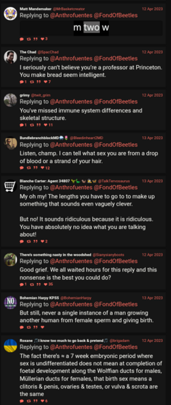Screenshot_20240320-152207_(1).png