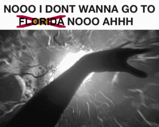 florida.gif