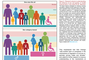 sex category based.PNG