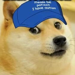 doge-please-be-patient-i-have-autism.jpg