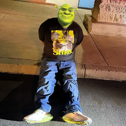 1711026775579.png