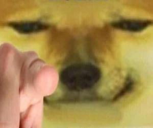 3nzezj.png