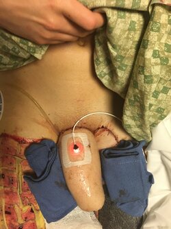 uci6rywge2qc1.jpg