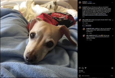 Screenshot 2024-02-26 at 07.26.15.png