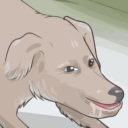 1711235012687.png