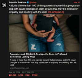birthing parents.PNG