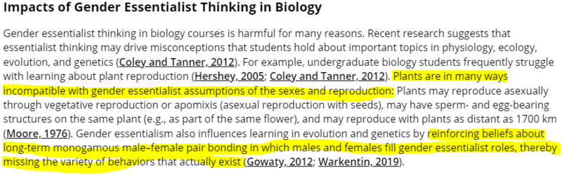 essentialist.PNG