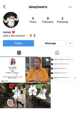 fake_fan_account.jpeg