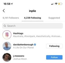 follows_fake_null.jpeg