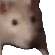 img].gif