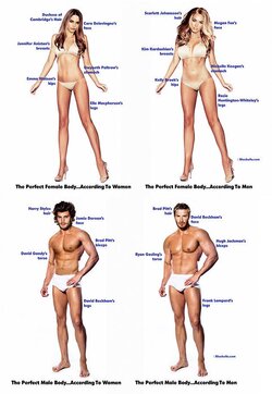 The Perfect Female Body According To Women & Men.jpeg