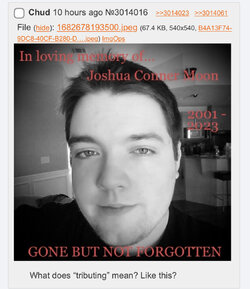 tributing.jpeg