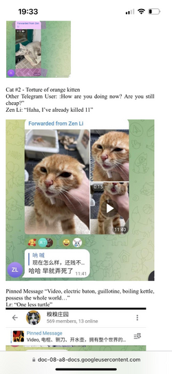 1711391831267.png