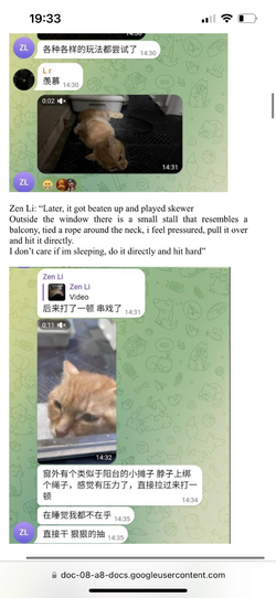 1711392153534.png