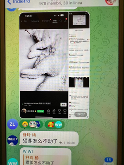 1711395349532.png