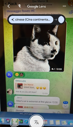 1711398572409.png