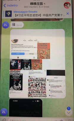 1711398792634.png
