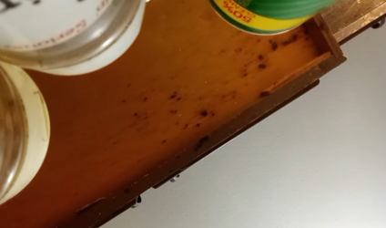 moldy.PNG