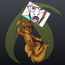 Lumii_20240326_073616915.jpg
