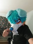 dsf2.jpg