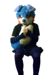 DSF.png