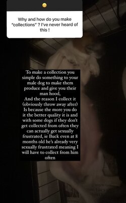 IMG_3921.jpeg