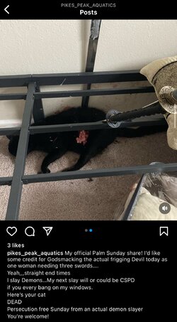 IMG_3037.jpeg