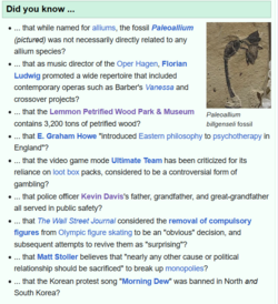 dyk.png