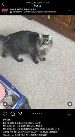 IMG_3038.jpeg