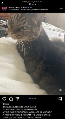 IMG_3039.jpeg
