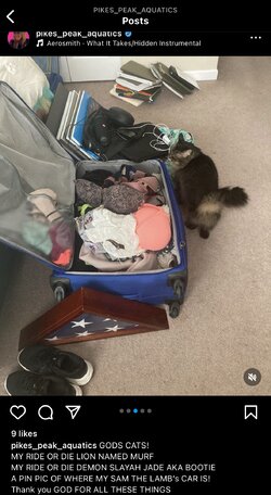 IMG_3040.jpeg