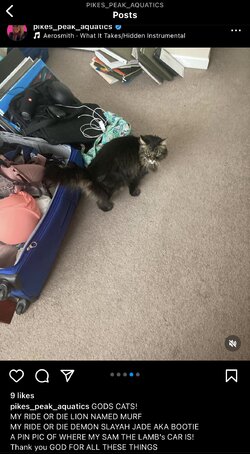 IMG_3041.jpeg