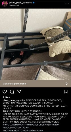 IMG_3034.jpeg