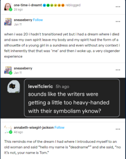 cisgenderexperience.png