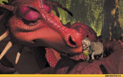 donkey and dragon.jpg