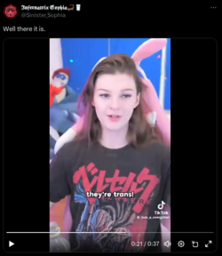 1711588530403.png