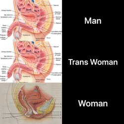 GJ1KdYIWMAAfsCw.jpeg