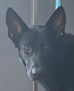 scared.png