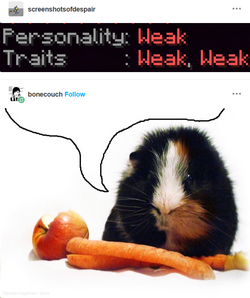 weak.png