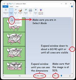 Lolcow paint inst.png