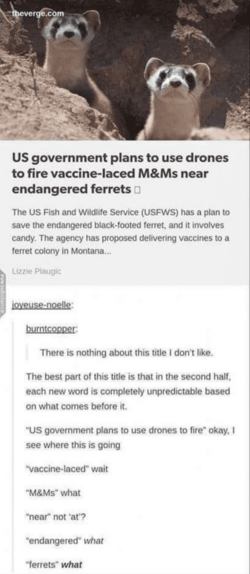 tumblr-gets-deep-10-21-21-15.png