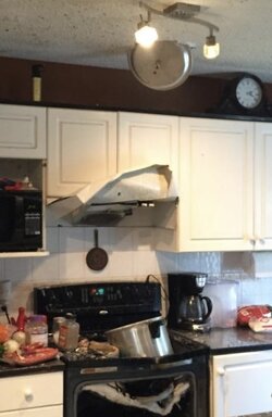IMG_2104.jpeg