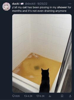 1711886710226.jpeg