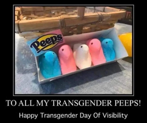 1711896037461.png