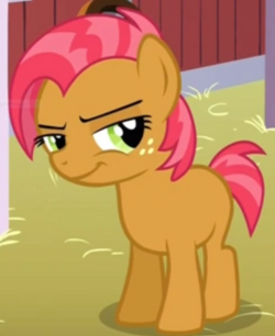 babs seed.PNG