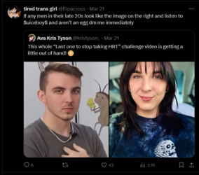 FireShot Capture 902 - tired trans girl (@flipacross) _ X - twitter.com.png