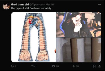 FireShot Capture 906 - tired trans girl (@flipacross) _ X - twitter.com.png